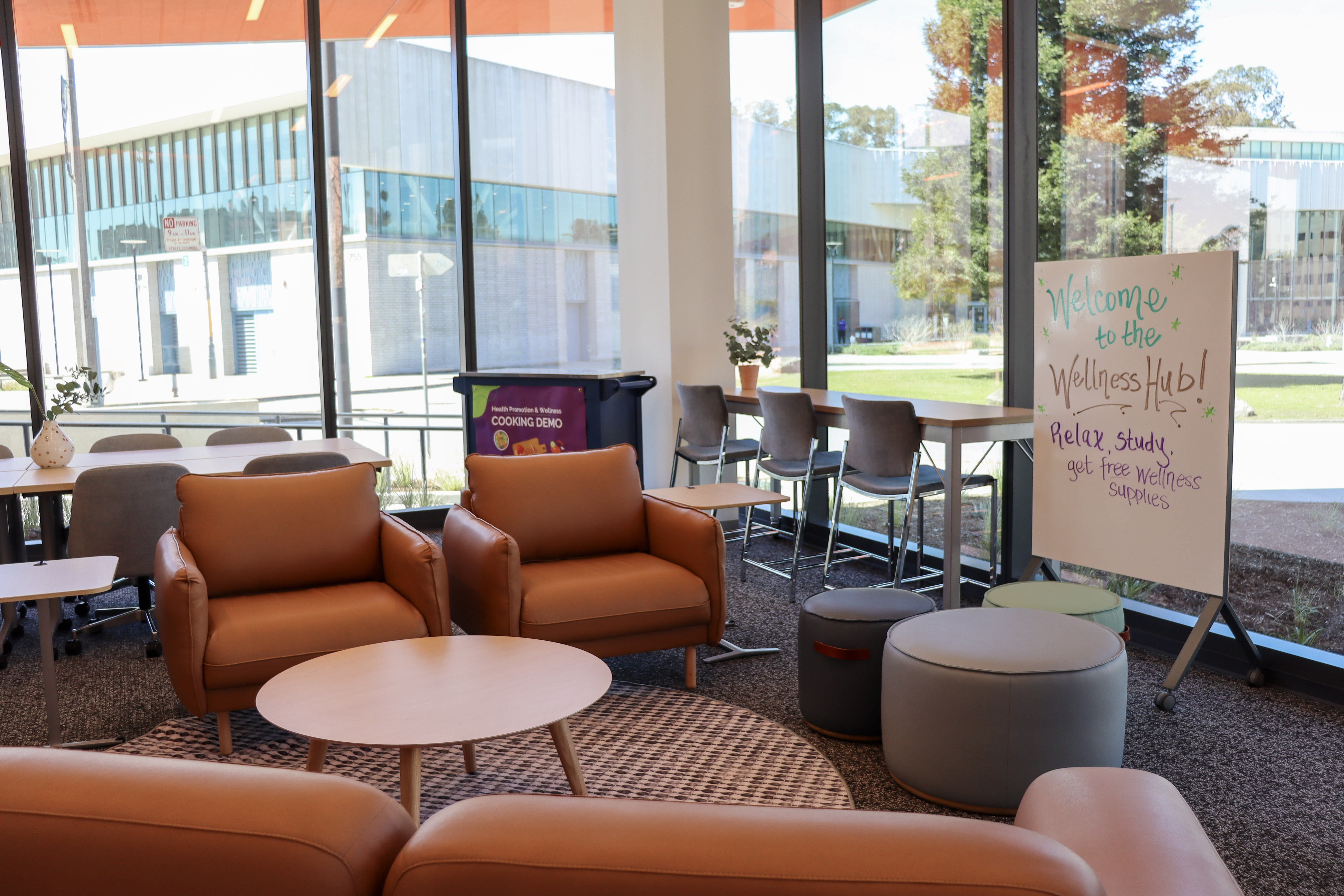 Health and Wellness Hub