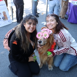 Two people kneel beside a golden retriever dressed in flower-shaped sunglasses and colorful accessories during an outdoor wellness event.