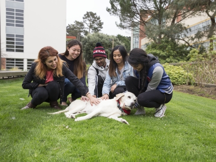 Students petting therapy dog
